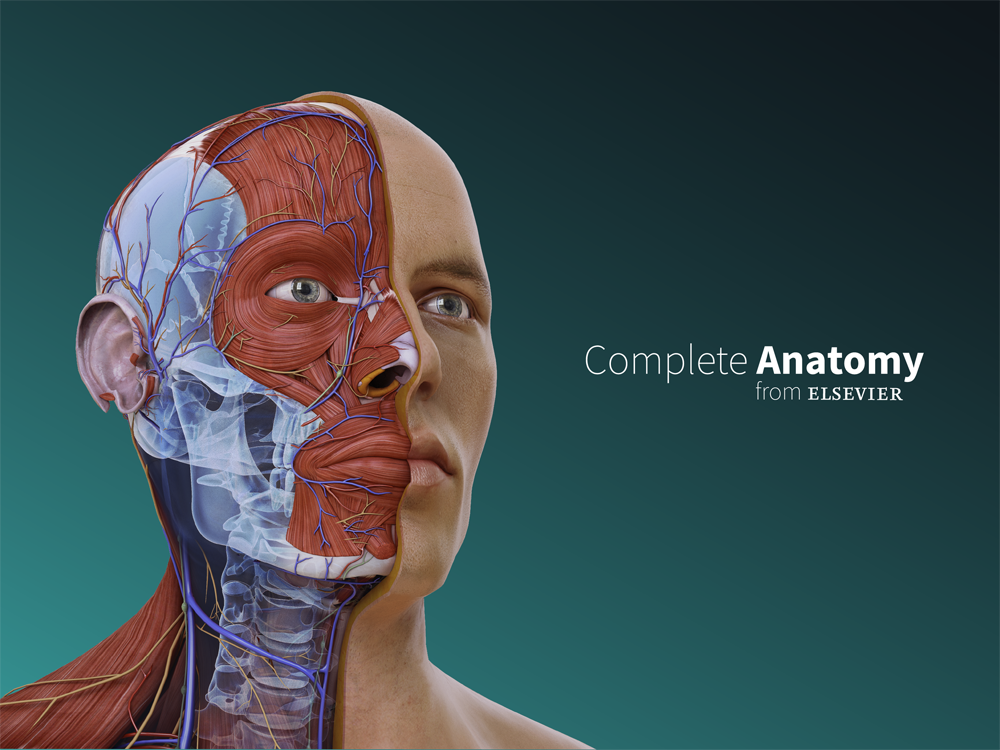 Nueva plataforma de anatomía: Complete Anatomy